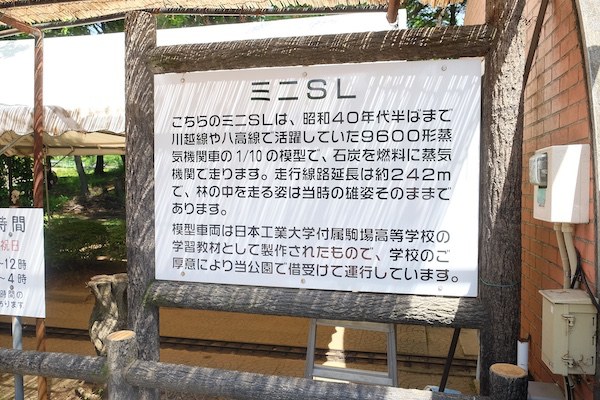 ミニSL 9600形の模型