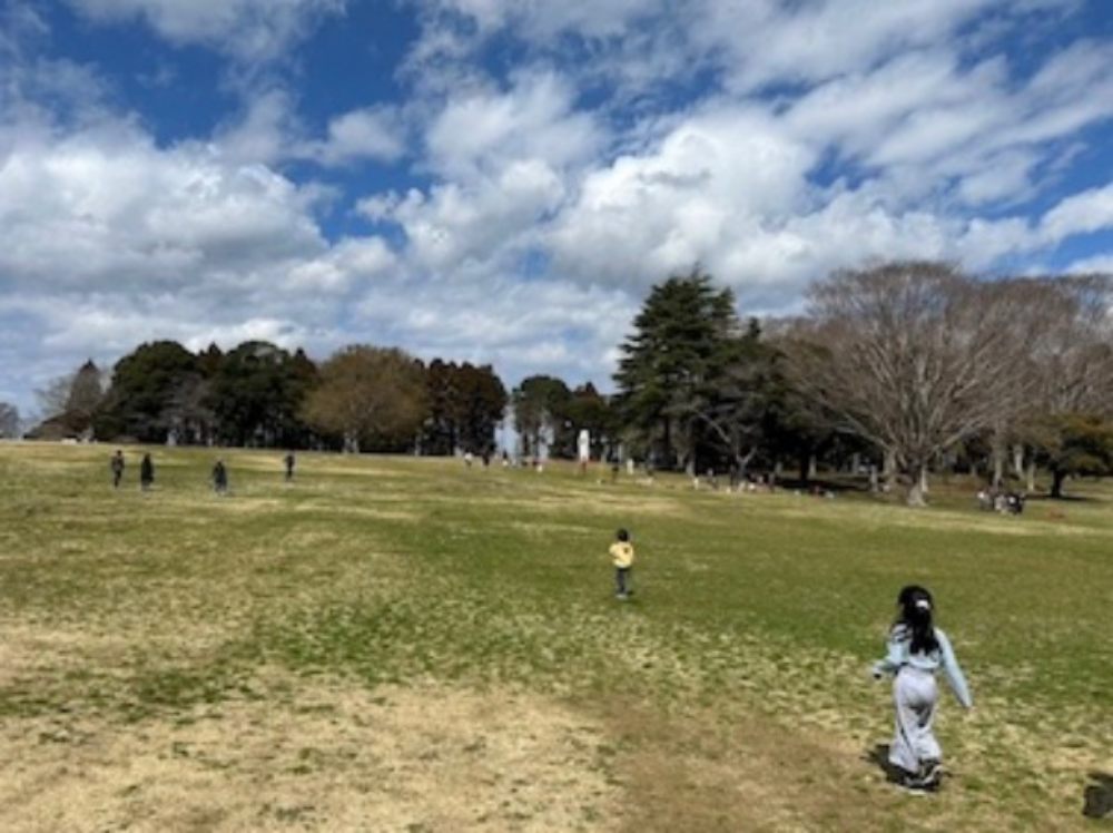 昭和の森公園_アイキャッチ