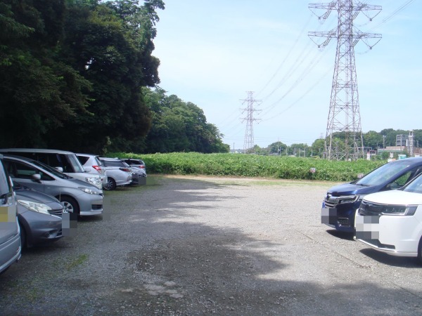 臨時駐車場の様子(木陰あり)