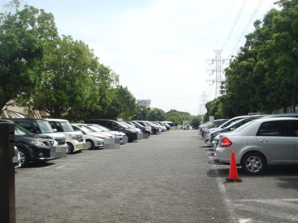 メイン駐車場の様子