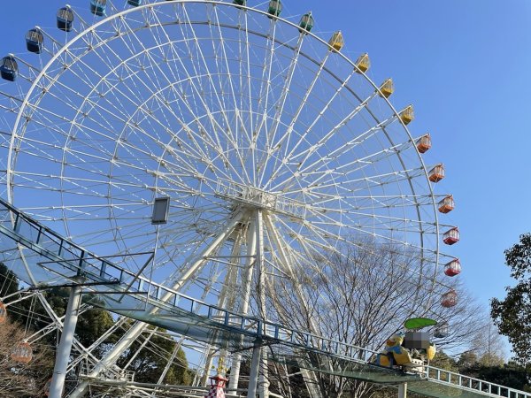 もりのゆうえんちの観覧車