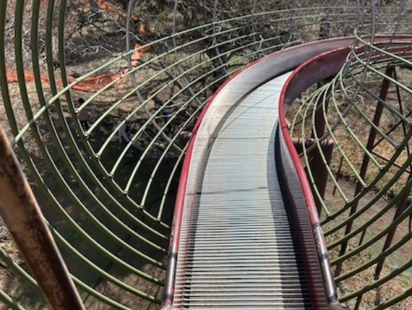 昭和の森公園　ローラー滑り台２