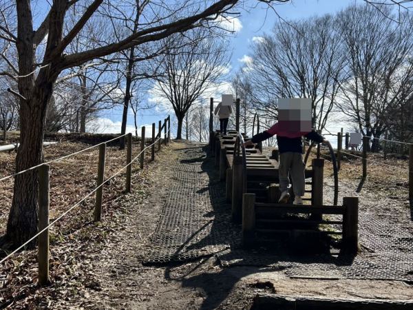 昭和の森公園　アスレチック遊具４