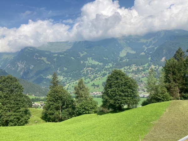 ヴェンゲンアルプ鉄道の車窓からの風景