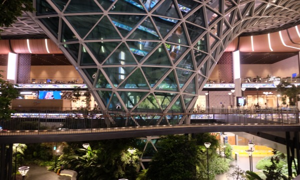 ハマド国際空港の植物スペース