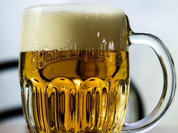 Pilsner Urquellのジョッキに注がれたピルスナー(チェコビール)